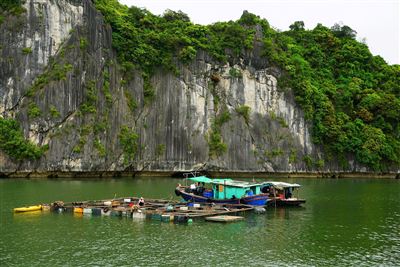 Vietnam Cat Ba